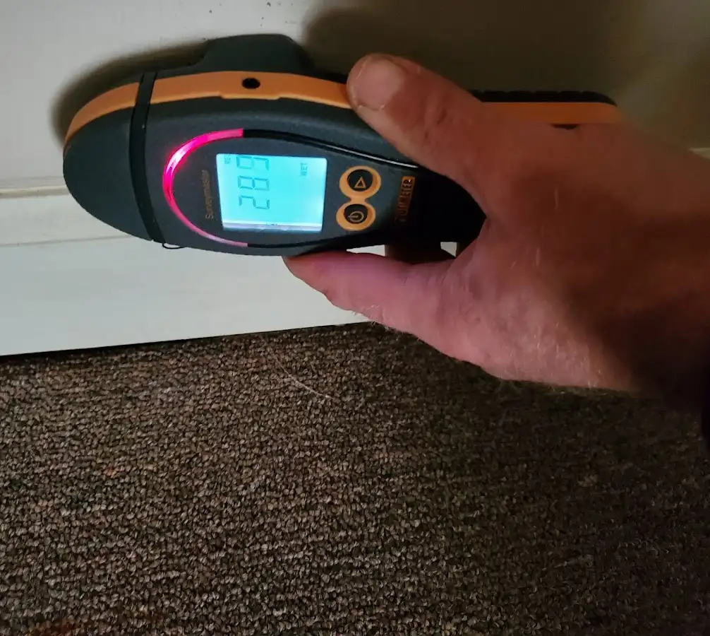 Moisture detection at baseboard during Burst Pipe Cleanup in New Boston